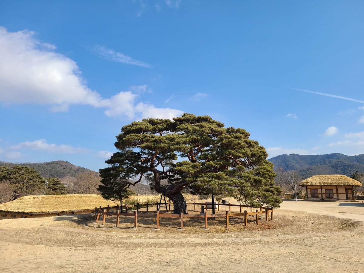 산으로 둘러싸인 한국 농촌 마을 풍경(안동)